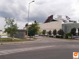 Golub budimpesta5